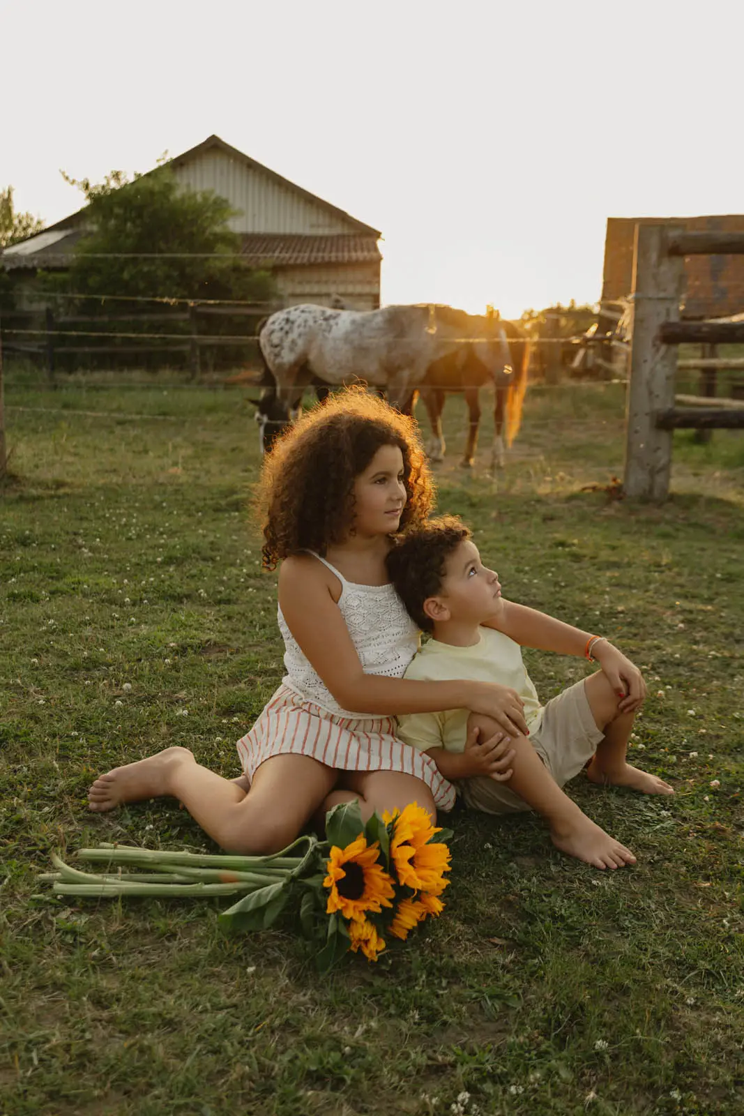 Séance famille avec enfants au coucher de soleil